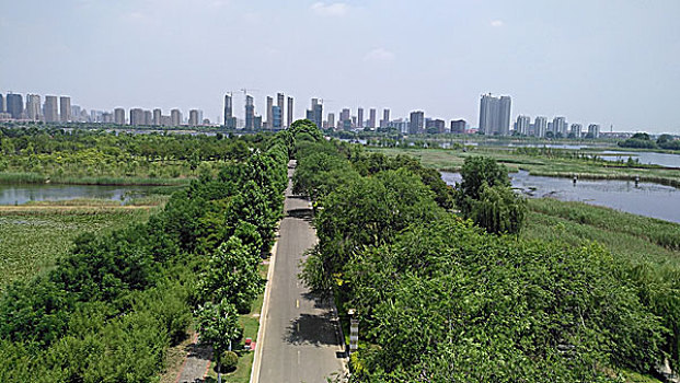 城市湿地