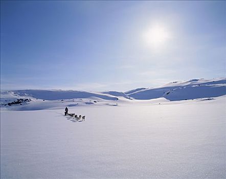 狗队,冬季风景