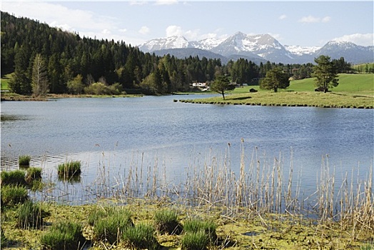 湖,阿尔卑斯山