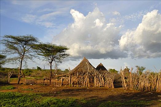 土著,乡村,大草原,靠近,埃塞俄比亚
