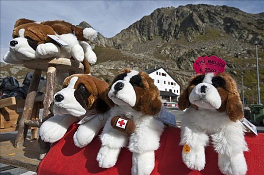 毛绒玩具,狗,纪念品,圣伯纳犬,瓦莱,瑞士