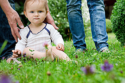 头像,女婴,坐,草坪,凝视