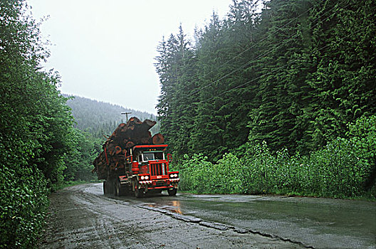 木材业,装载,伐木,卡车,雪松,原木,温哥华岛,不列颠哥伦比亚省,加拿大