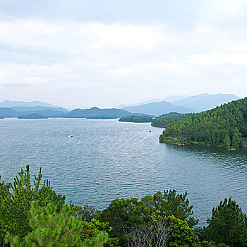 场景,山,围绕,湖