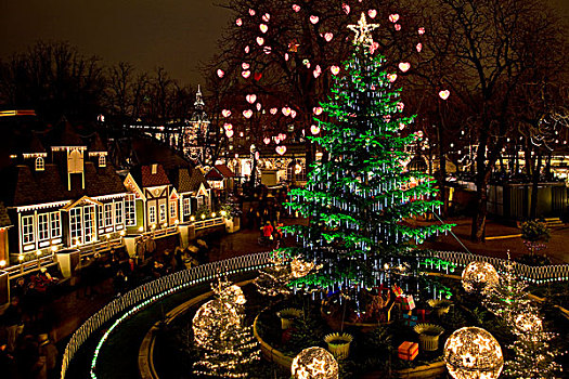 圣诞节,树,哥本哈根,丹麦,欧洲