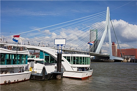 桥,鹿特丹,市区