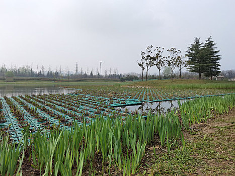 西安鹤鸣湖公园