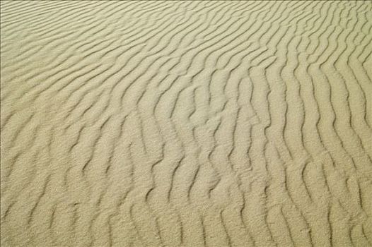 沙丘,塔斯马尼亚,澳大利亚
