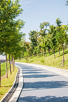 晴朗天气环境中城市公园中的道路