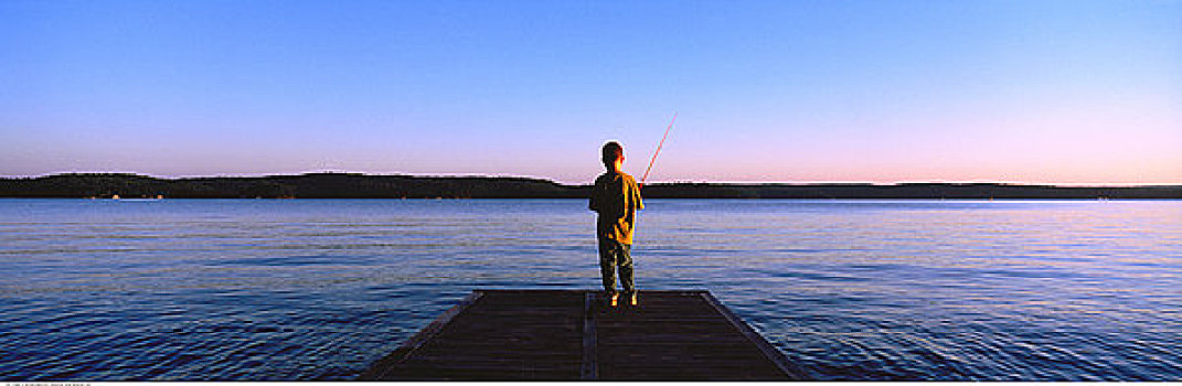 后视图,男孩,钓鱼,码头,黄昏