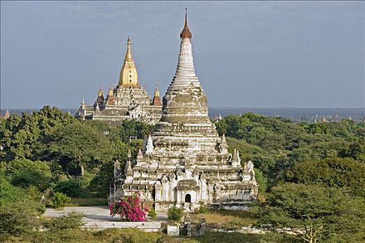 缅甸,蒲甘,古老,中心,朴素,12世纪,庙宇,历史,阿南达寺,后面