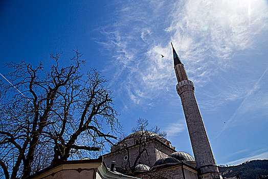 萨拉热窝的格兹·胡色雷·贝格清真寺