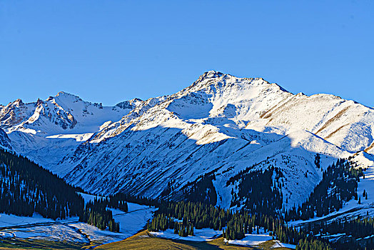 那拉提牧场的草原与雪山