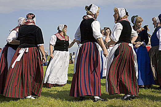大,节日,传统服装,海利史虎格,石勒苏益格,黑白花牛,德国北部,德国