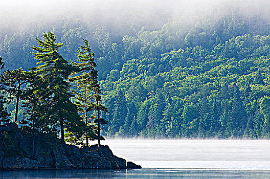 湖,两个,河,雾,阿尔冈金省立公园,安大略省,加拿大