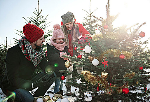 女孩,父母,看,小玩意,树林,圣诞树