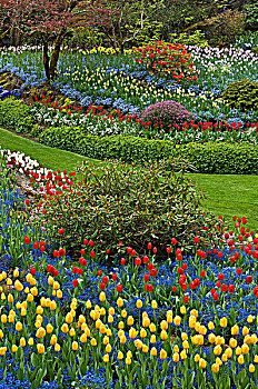 春天,宝翠花园,维多利亚,温哥华岛,不列颠哥伦比亚省,加拿大