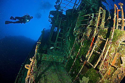 潜水,残骸,所罗门群岛