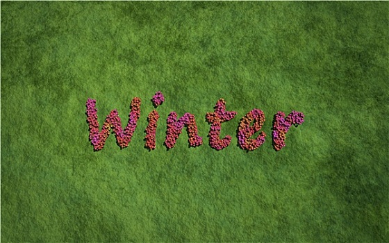 冬天,文字,花,草,背景