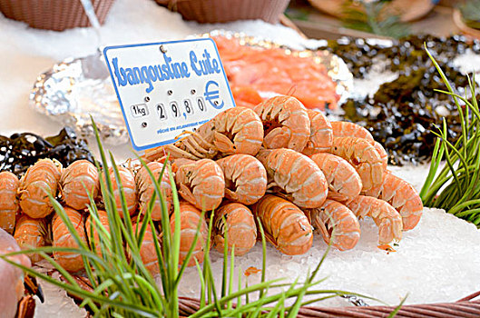 烹饪,龙虾,市场