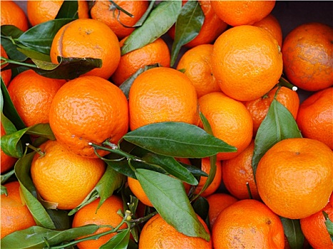 橙子,市场