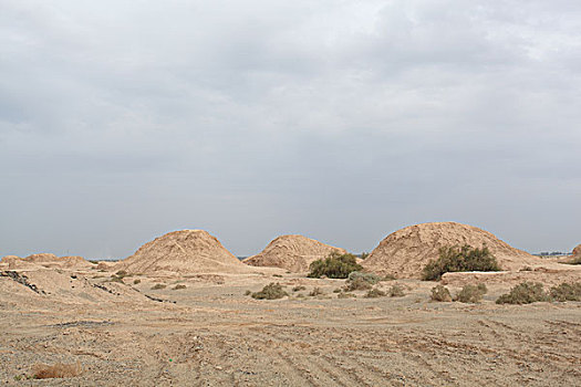 安西极旱荒漠国家级自然保护区