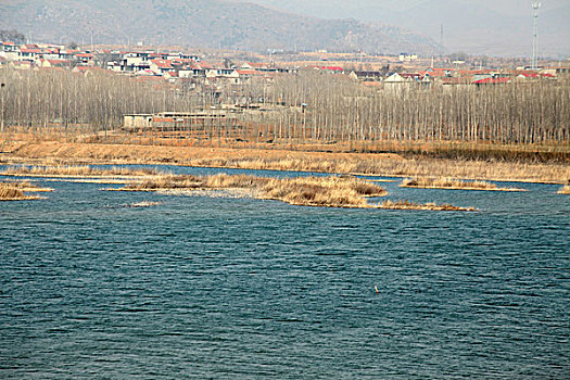 水泡,湖水,乡村,安静,野外,湿地,农村,北方,河流,河道