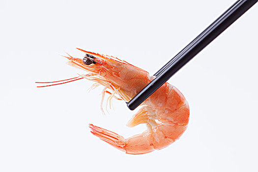 筷子和虾