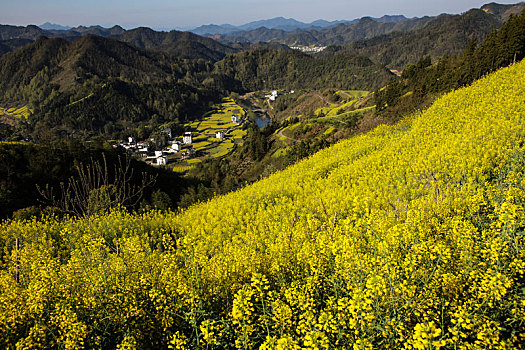 石潭村,安徽,古村落,住宅,建筑,历史,文化,居民,痕迹,村庄,老街