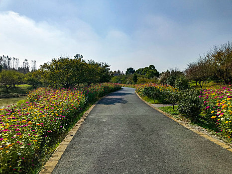 城市绿地,湿地公园