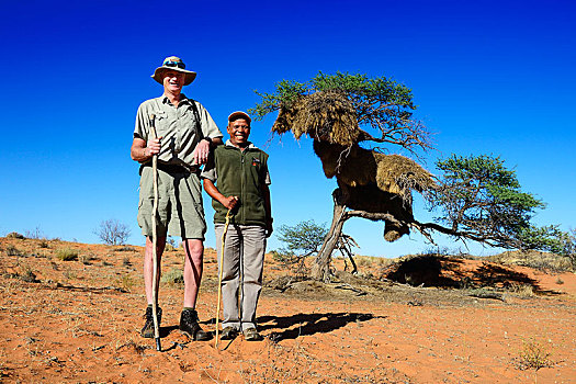 巡逻员,住宿,卡拉哈里沙漠,卡拉哈迪大羚羊国家公园,北角,南非,非洲