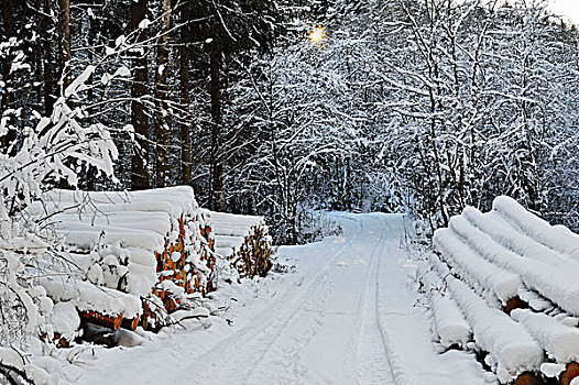 堆栈的日志,方,路,黑森林在冬季,附近的,符腾堡,德国