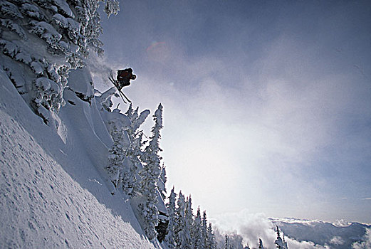 滑雪者,抓住,室外,粉末,库特尼,山脉,不列颠哥伦比亚省,加拿大