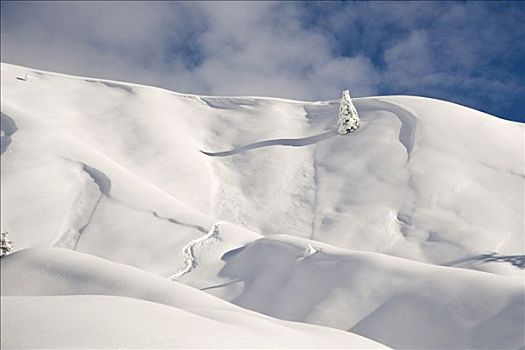 冬季风景,白云岩,意大利,欧洲