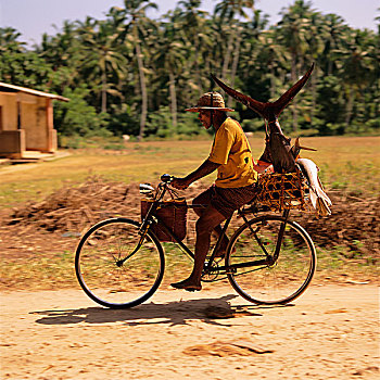 男人,自行车,坦桑尼亚