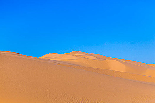沙丘,日出,沙漠