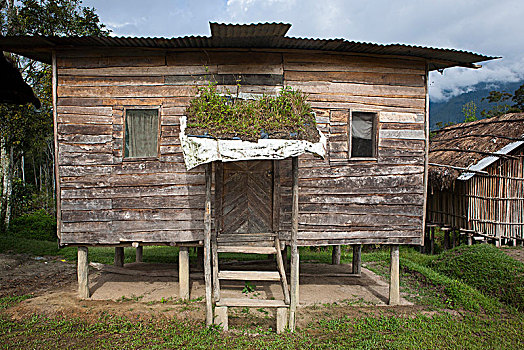 乡村,房子,巴布亚新几内亚
