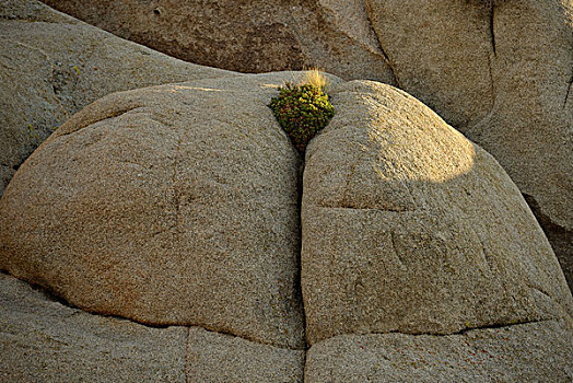 岩石构造,石头,约书亚树国家公园,莫哈维沙漠,加利福尼亚,美国