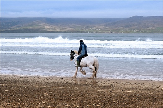 马,骑乘,海滩