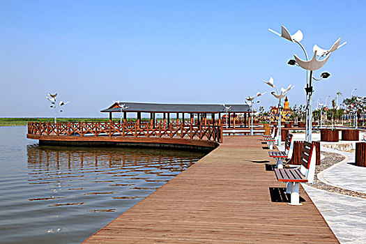 天津七里海国家湿地公园,湿地,旅游区,世外桃源