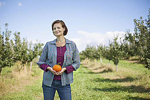 女人,格子衬衫,拿着,橙色,南瓜,捧着,农场