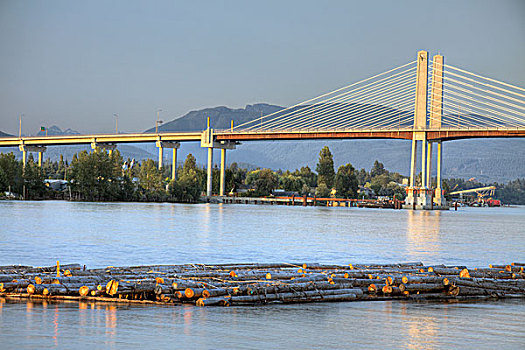 新,桥,2009年,上方,弗雷泽河,漂浮,原木,繁荣,前景