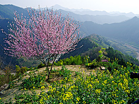 风景