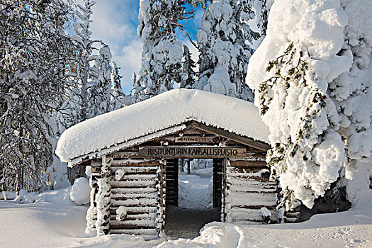木屋,入口,国家公园,拉普兰,芬兰,欧洲