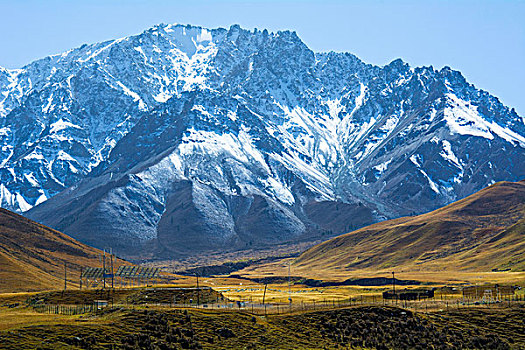 白雪皑皑的祁连山山顶和绿草如茵的山麓风光