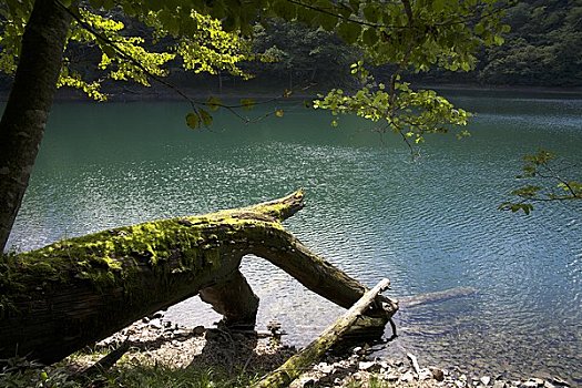 马掌,湖