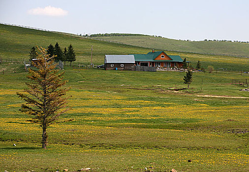 加拿大落基山赛马场