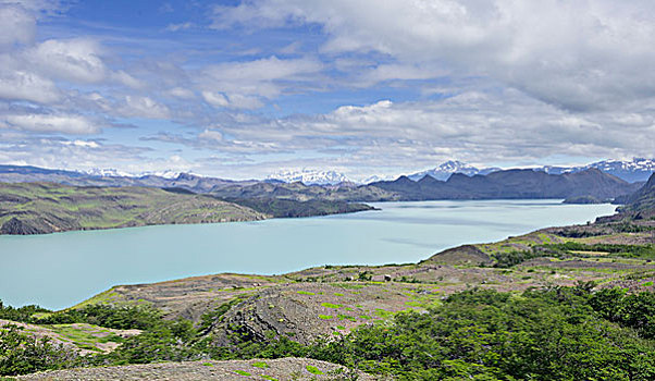 湖,托雷德裴恩国家公园,麦哲伦省,区域,智利,南美