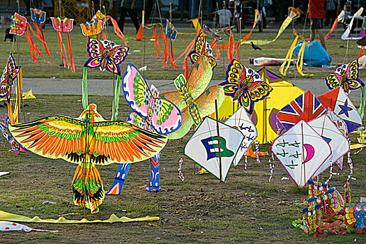 风筝,等待,售出,泰国,一月,2007年
