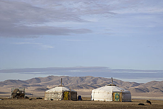 蒙古包,草原,靠近,蒙古